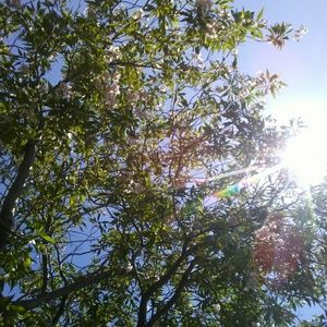 Meet your Posher, Elva